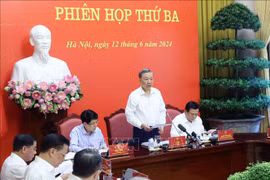 Presidente de Vietnam preside reunión de balance sobre 40 años de renovación. (Fuente: VNA)