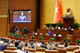 La gobernadora del Banco Estatal de Vietnam, Nguyen Thi Hong. (Fuente: VNA)