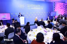 El primer ministro vietnamita dialoga con líderes de corporaciones del FEM en Dalian. (Fuente: VNA)