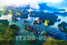 Cat Ba vista desde arriba. (Fuente: VNA)