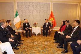 El secretario general del Partido Comunista y presidente de Vietnam, To Lam, recibe a Patrick McKillen, presidente del Grupo Pacific Land, cónsul honorario de Vietnam en Irlanda. (Fuente: VNA)