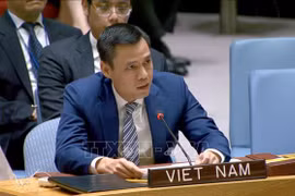 El embajador Dang Hoang Giang, jefe de la misión vietnamita ante las Naciones Unidas. (Fuente: VNA)