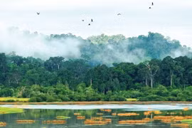 Parque Nacional Cat Tien ingresa a Lista Verde de UICN 