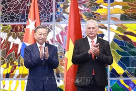 El secretario general del Partido Comunista y presidente de Vietnam, To Lam, y el primer secretario del Partido Comunista y presidente de Cuba, Miguel Díaz-Canel Bermúdez. (Fuente: VNA)