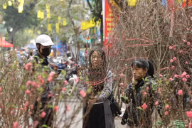 Inauguran mercado tradicional de flores del Tet en Hanoi 