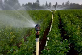 Gran importancia de las aguas subterráneas en sistema acuático