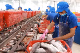 Nace Festival del Pescado Tra de Vietnam