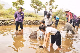 Hanoi por promover turismo agrícola y rural 