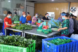 Provincia norteña de Bac Giang por construir zona de nueva ruralidad 