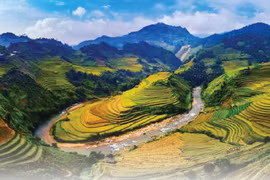 Turistas internacionales en Vietnam en 11 meses aumentan 3,8 veces 