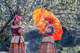 Fiesta tradicional del Tet de las minorías étnicas en Vietnam