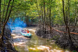 Vietnam trabaja por conservar ecosistemas de humedales