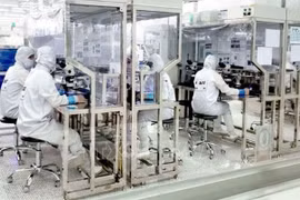 Vietnam espera atraer inversiones de Estados Unidos y Unión Europea 