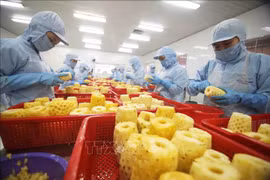 Exportaciones de frutas y verduras de Vietnam alcanzarán 5,5 mil millones de dólares
