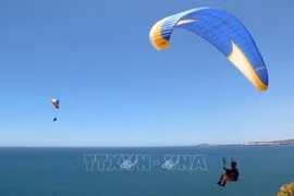 Experimentan parapente aventura única en provincia vietnamita de Binh Thuan 