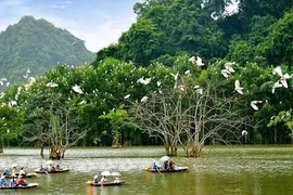 Vietnam trabaja para prevenir la degradación de la biodiversidad