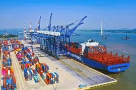 Vietnam por desarrollar seis clústeres portuarios