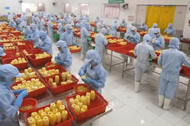 Vietnam fortalece la atracción de inversión extranjera directa 