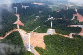 Energía eólica en provincia vietnamita de Quang Tri se desarrolla de forma eficiente