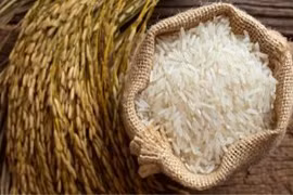 Exportaciones del arroz vietnamita a lo largo de los años