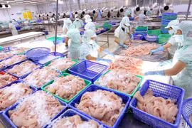 Empresas acuícolas de Vietnam por extenderse al mercado mundial