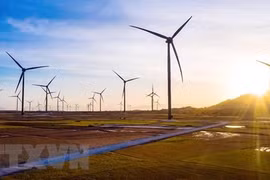Proyectos verdes en Vietnam siguen recibiendo inversiones millonarias