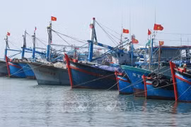 Vietnam determina a poner fin a la pesca ilegal al final de 2021