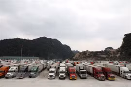 Instan a resolver congestiones en puertas fronterizas de Vietnam antes del Tet