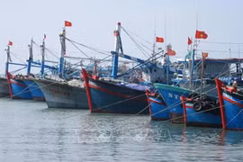 Comunidad pesquera vietnamita comprometida con combatir la pesca ilegal 