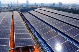 Oportunidades y desafíos de la energía limpia en Vietnam