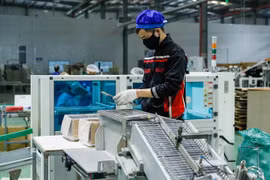 Publican informe anual sobre inversión extranjera directa en Vietnam en 2022 