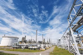 PVN supera todos los objetivos de producción y negocio 