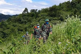 Tareas clave por el desarrollo socioeconómico en zonas fronterizas terrestres de Vietnam