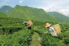 Vietnam se esfuerza por reducir la pobreza en zonas remotas