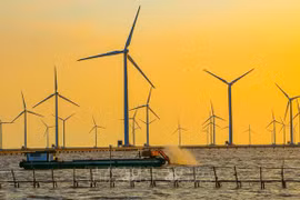 Vietnam con potencialidades para desarrollar energía eólica marina
