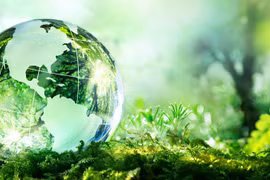 Hanoi aclarará procedimientos administrativos en sector del medio ambiente 