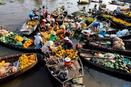 Desarrollo y prosperidad del Delta de Mekong mejoran calidad de vida