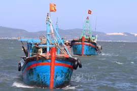 Inspeccionan combate contra IUU y prevención de desastres en Phu Yen