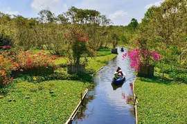 Turismo de Vietnam por fortalecer calidad de recursos humanos