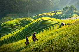 Vietnam aprueba estrategia nacional para el desarrollo de zonas montañosas y de minorías étnicas
