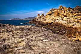 Reserva de biosfera de Nui Chua en Vietnam, lugar seguro para las tortugas marinas