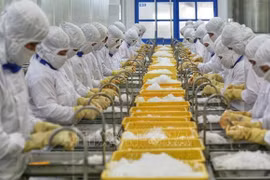 Adaptarse a la nueva normalidad, economía de Vietnam por mantener crecimiento en 2022