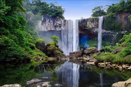 Protegen reserva mundial de la biosfera de Kon Ha Nung en Vietnam