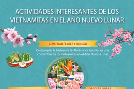 Actividades interesantes de los vietnamitas en Año Nuevo Lunar 