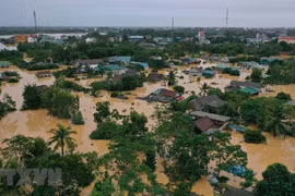 Región costera central de Vietnam mejora capacidad de prevención y control de desastres naturales