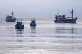 Sector pesquero vietnamita por desarrollarse de manera moderna y sostenible