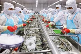 Vietnam por desarrollar de manera sostenible sector acuático
