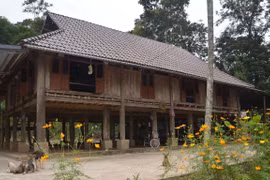 Palafitos únicos de la minoría étnica Muong en provincia vietnamita de Thanh Hoa