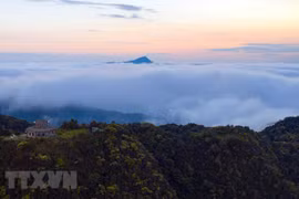 Parque nacional de Bach Ma, tesoro de biodiversidad de Vietnam