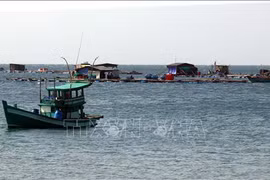 Provincia vietnamita busca enriquecerse por economía marítima